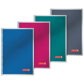 Notizbuch Premium Metallic | A5, kariert, sortiert