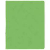 Ringbuch FACT!plus | A4, 2 Ringe, Füllhöhe: 15 mm, hellgrün