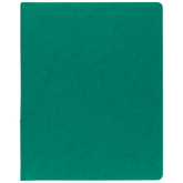 Ringbuch FACT!plus | A4, 2 Ringe, Füllhöhe: 15 mm, grün