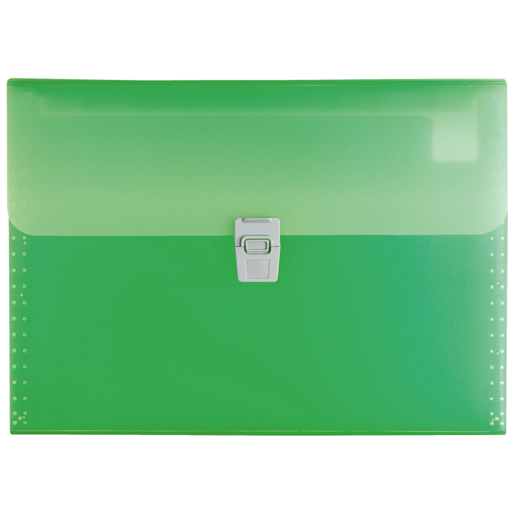 Fächermappe FACT!pp | A4, 10 Fächer, grün