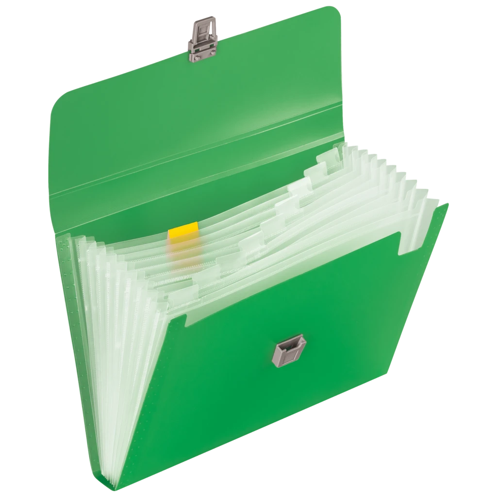 Fächermappe FACT!pp | A4, 10 Fächer, grün