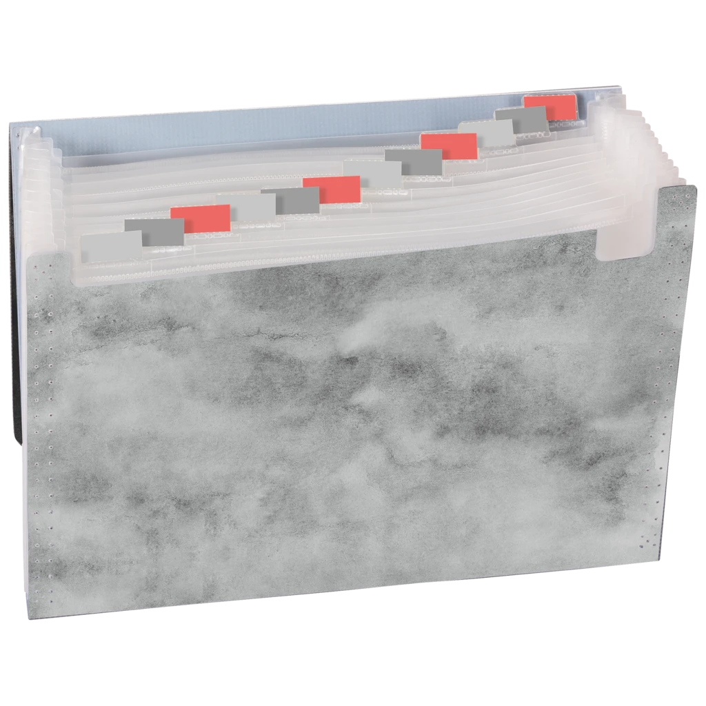 Fächermappe Neon | A4, 12 Fächer, grau/schwarz