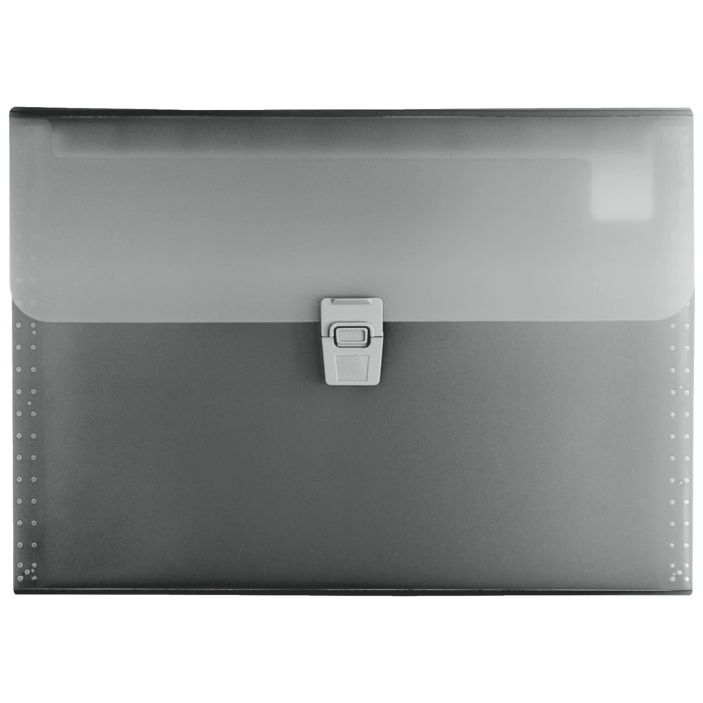 Fächermappe FACT!pp | A4, 10 Fächer, onyx