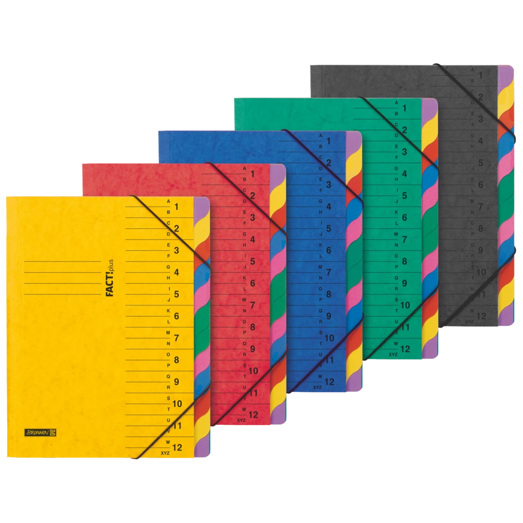 Ordnungsmappe FACT!plus | A4, 12 Fächer, sortiert