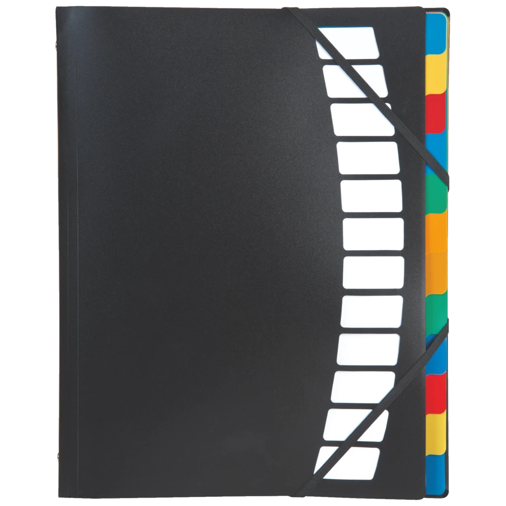 Ordnungsmappe | A4, 12 Fächer, schwarz
