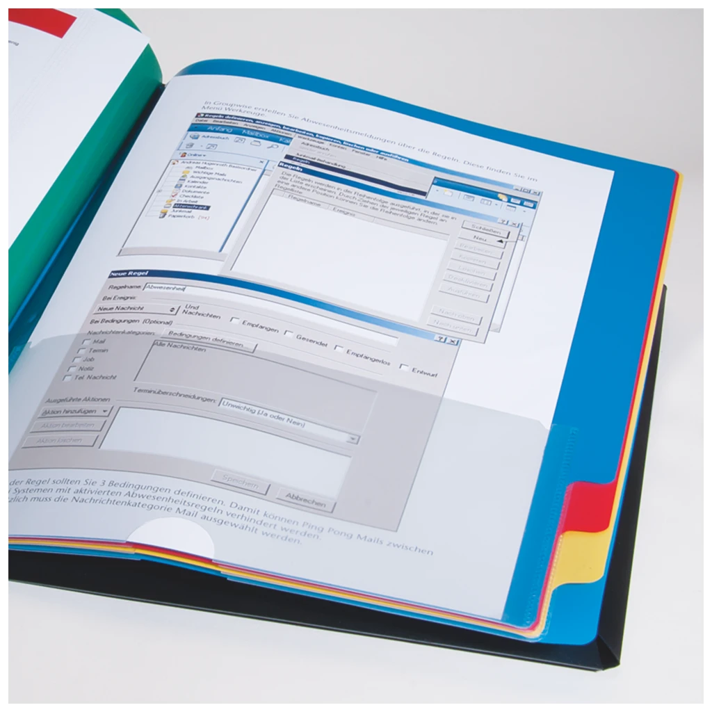 Ordnungsmappe | A4, 12 Fächer, schwarz