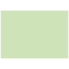 Karteikarten | A4, unliniert, grün, 100 Stück