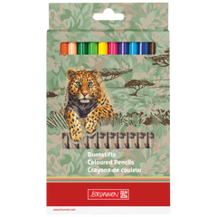 Dicke Buntstifte-Set Safari World | Dreikantform, mehrfarbig, 12 Stück