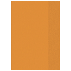 Hefthülle | 425 mm, A4, orange