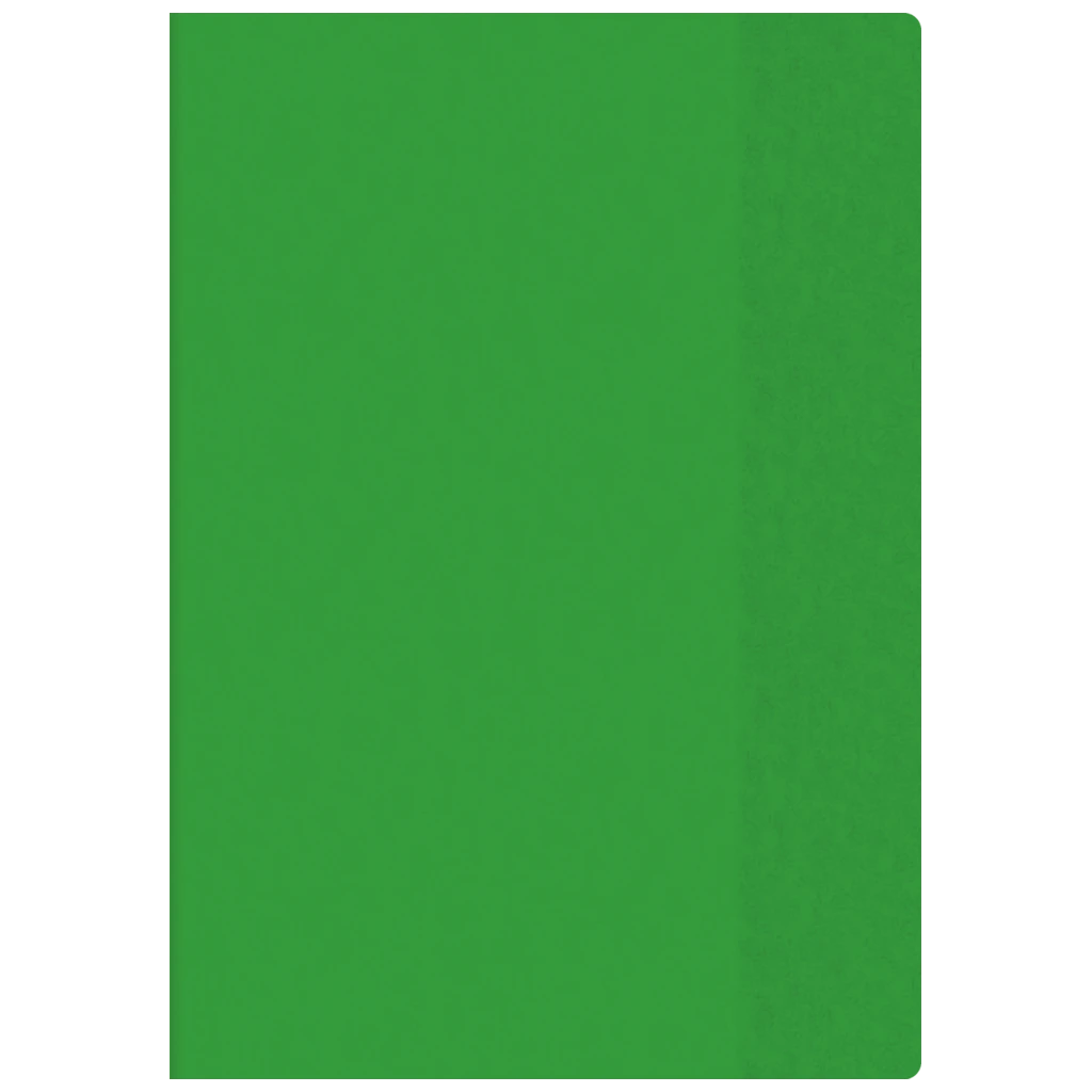 Hefthülle | 425 mm, A4, grün