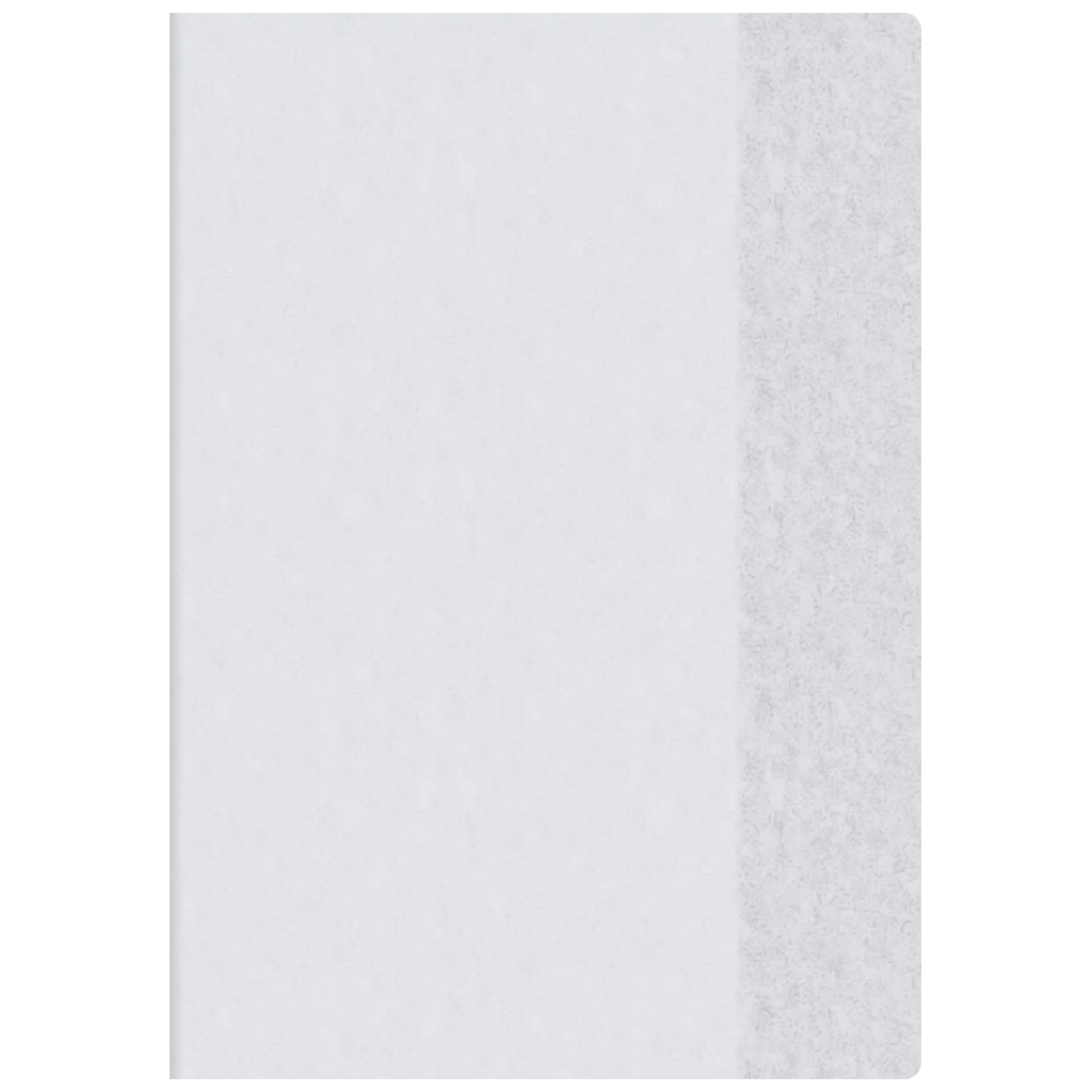 Hefthülle | 425 mm, A4, transparent