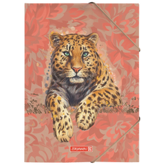 Sammelmappe „Leopard“ Safari World | A4, Füllhöhe: 10 mm