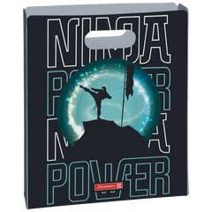 Heftbox Ninja Power | A4, Füllhöhe: 50 mm, türkis/schwarz