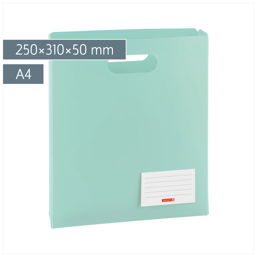 Heftbox FACT!pp | A4, Füllhöhe: 50 mm, mint