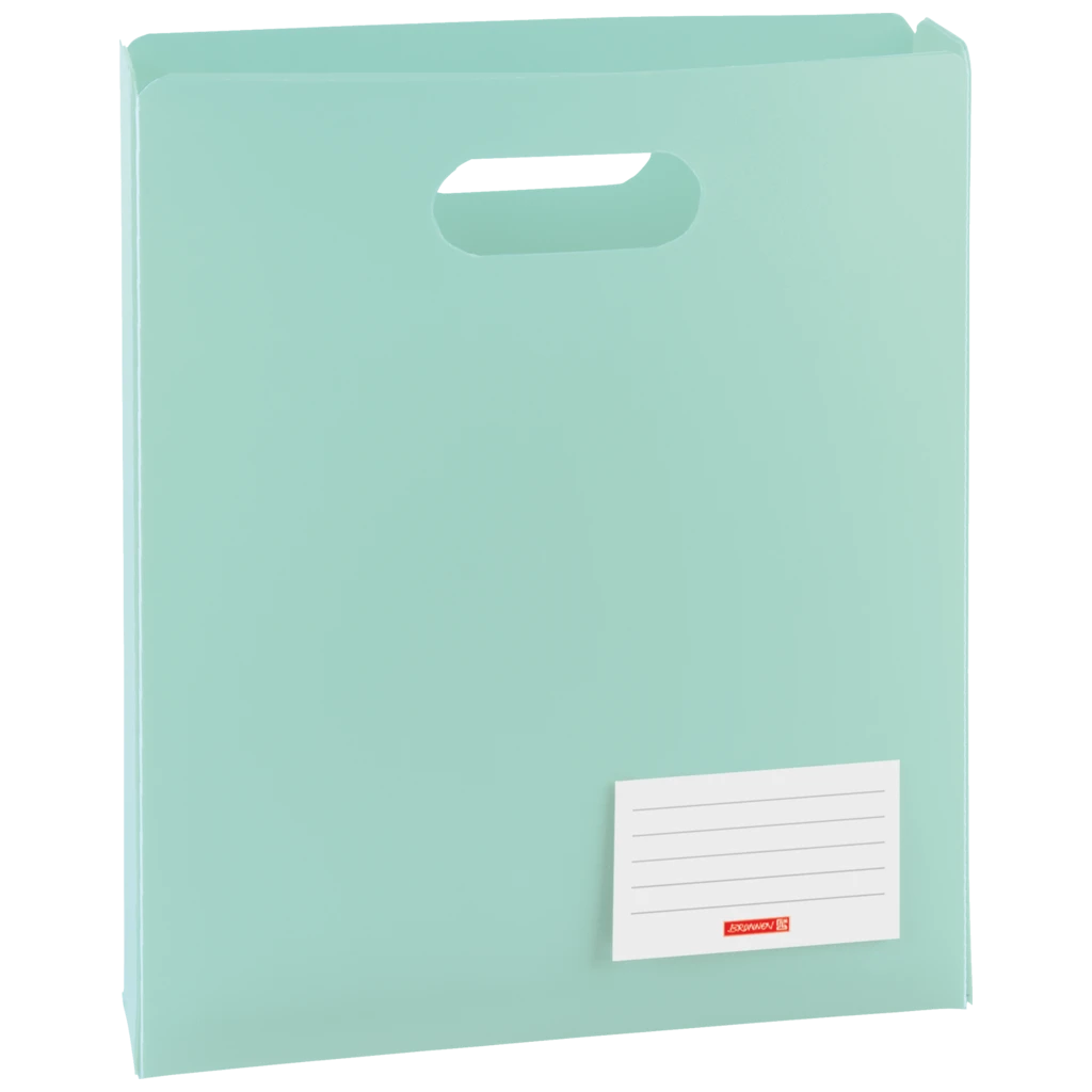 Heftbox FACT!pp | A4, Füllhöhe: 50 mm, mint