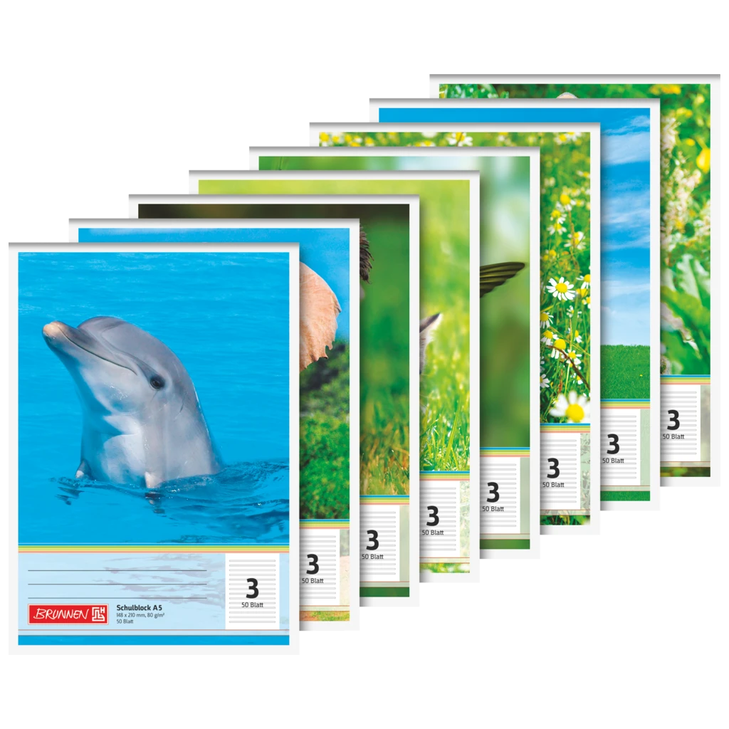 Schulblock gelocht | A5, Lineatur 3, 50 Blatt, sortiert