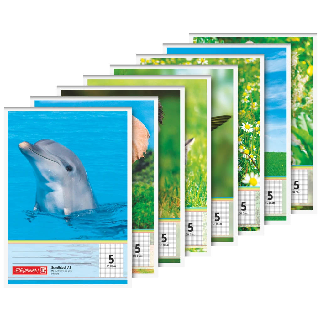 Schulblock gelocht | A5, Lineatur 5, 50 Blatt, sortiert