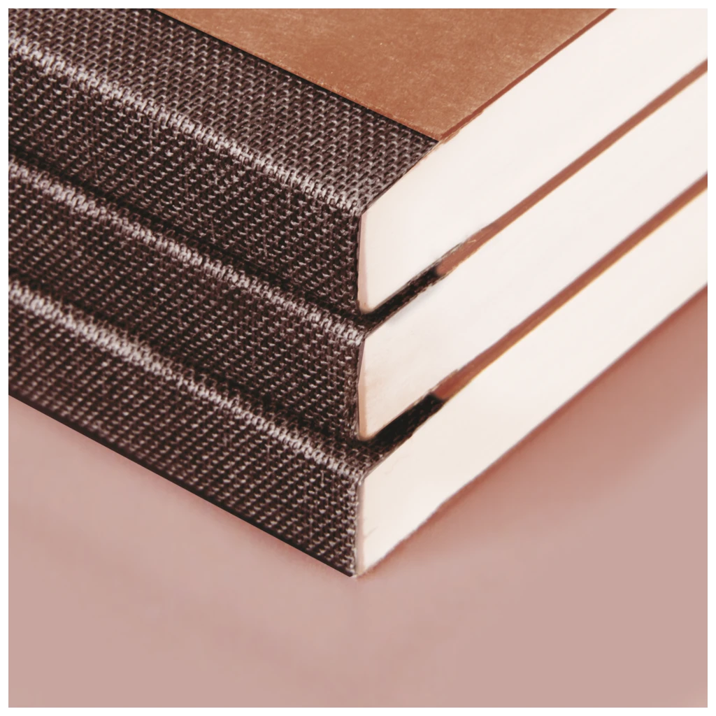 Notizbuch Premium FACT!plus Kladde | A6, unliniert, Gummizugverschluss, braun