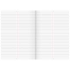 Vokabelheft | A4, Lineatur 53, 32 Blatt, sortiert