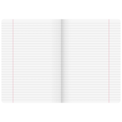 Diarien | A4, Lineatur 25, 40 Blatt, sortiert