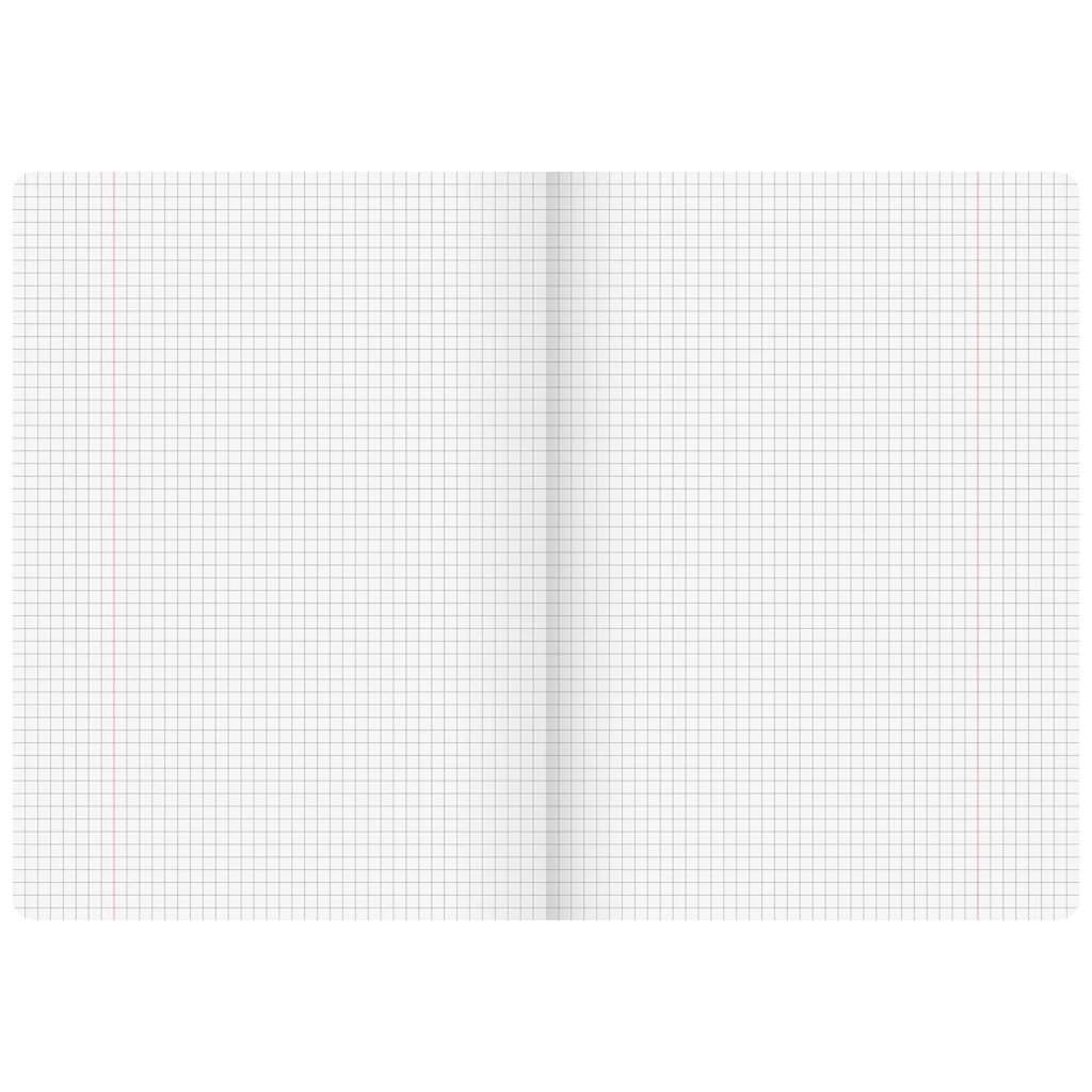Diarien | A4, Lineatur 26, 40 Blatt, sortiert