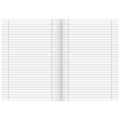Schulheft | A4, Lineatur 37, 16 Blatt, mehrfarbig