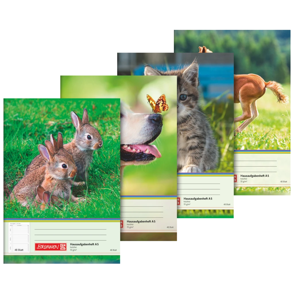 Hausaufgabenheft | A5, 48 Blatt, sortiert