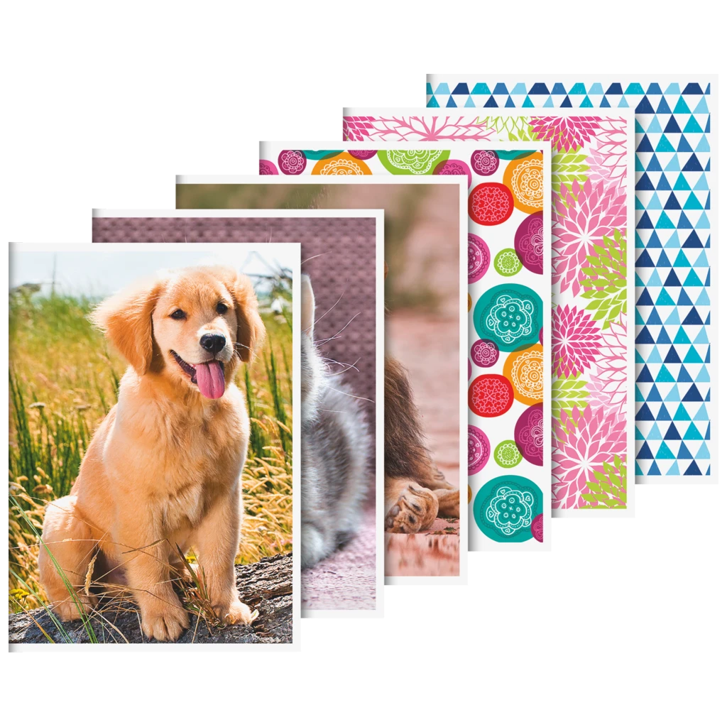 Schulheft | A6, Lineatur 51, 32 Blatt, sortiert