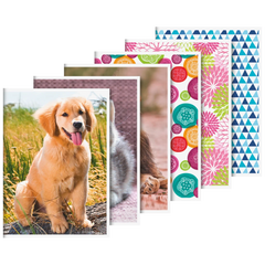 Schulheft | A6, Lineatur 51, 32 Blatt, sortiert