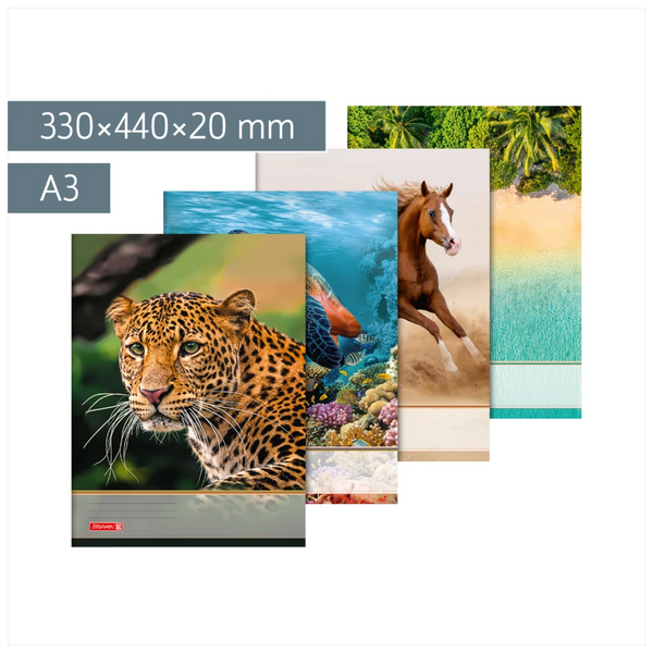 Sammelmappe für A3 | A3, Füllhöhe: 20 mm, sortiert