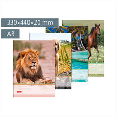 Sammelmappe | A3, Füllhöhe: 20 mm, sortiert