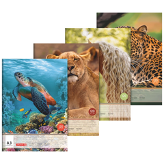 Zeichenblock | A3, 20 Blatt, sortiert