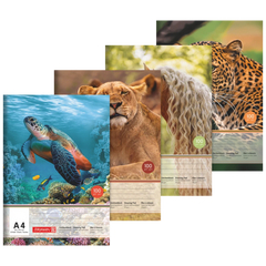 Zeichenblock | A4, 20 Blatt, sortiert