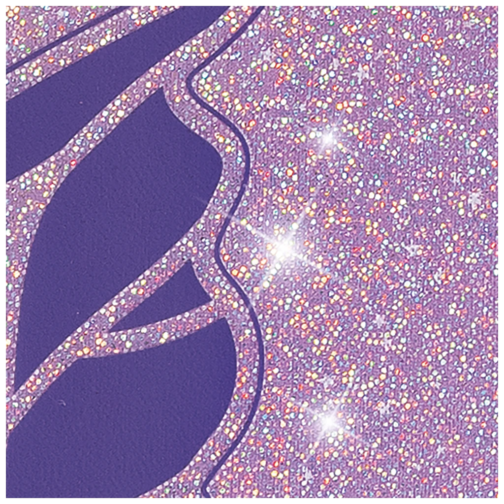 Federmäppchen XXL Magic Butterfly | 2 Reißverschlüsse, rosarot/lila