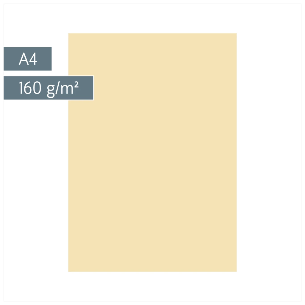 Multifunktionspapier Universalpapier | A4, 160 g/m², chamois, 25 Blatt