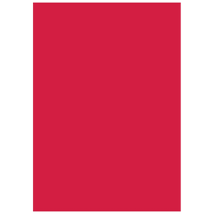 Multifunktionspapier Universalpapier | A4, 160 g/m², mittelrot, 25 Blatt