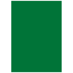 Multifunktionspapier Universalpapier | A4, 160 g/m², dunkelgrün, 25 Blatt