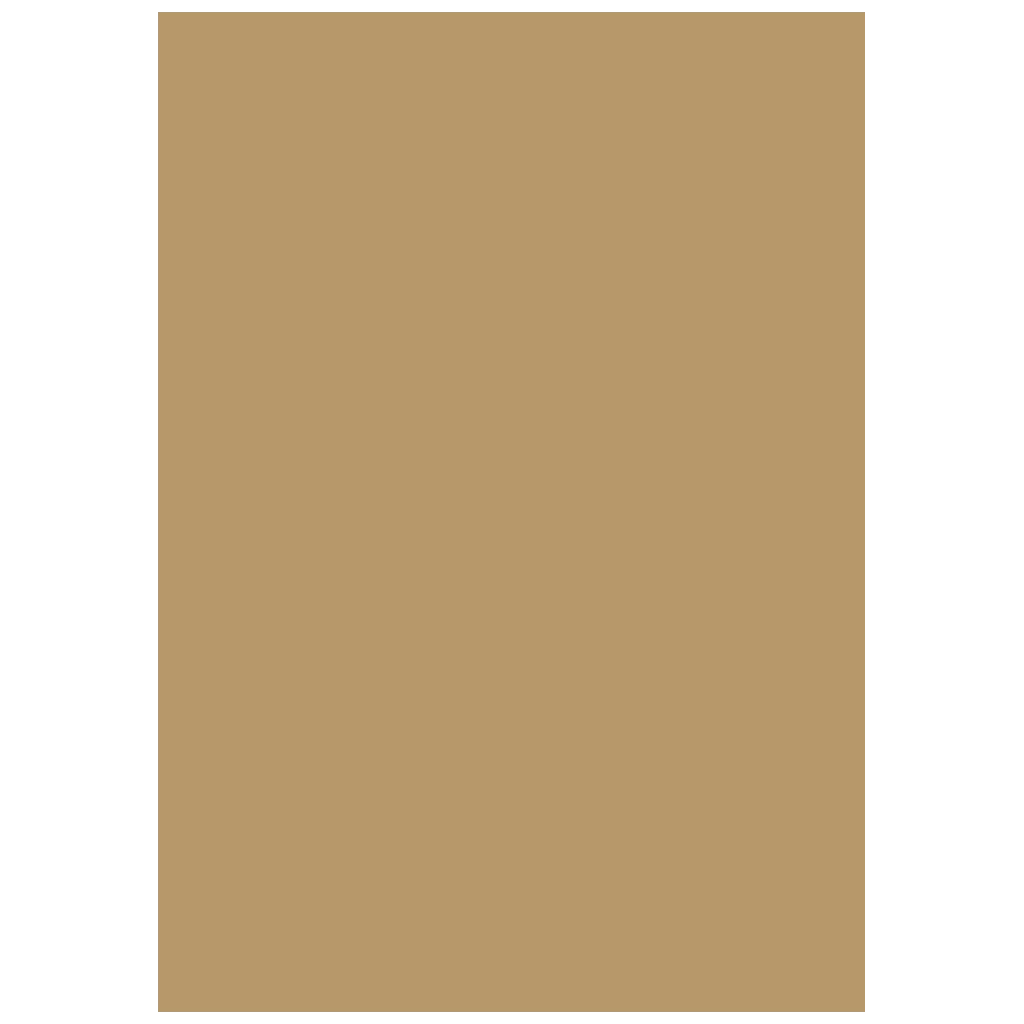 Multifunktionspapier Universalpapier | A4, 160 g/m², sand, 25 Blatt