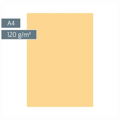 Multifunktionspapier Universalpapier | A4, 120 g/m², honig, 35 Blatt