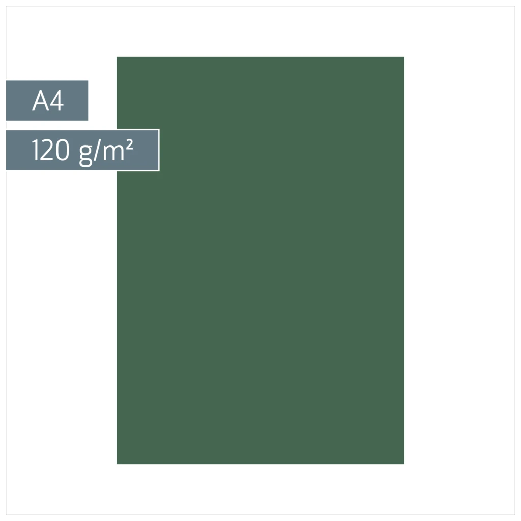 Multifunktionspapier Universalpapier | A4, 120 g/m², moosgrün, 35 Blatt