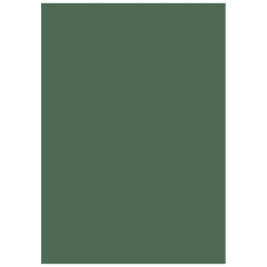 Multifunktionspapier Universalpapier | A4, 120 g/m², moosgrün, 35 Blatt