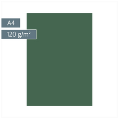 Multifunktionspapier Universalpapier | A4, 120 g/m², moosgrün, 35 Blatt