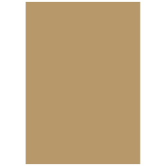 Multifunktionspapier Universalpapier | A4, 120 g/m², sand, 35 Blatt