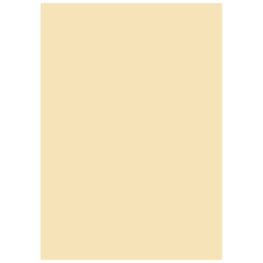 Multifunktionspapier Universalpapier | A4, 80 g/m², chamois, 50 Blatt