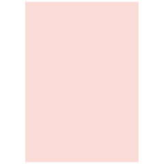 Multifunktionspapier Universalpapier | A4, 80 g/m², rosé, 50 Blatt