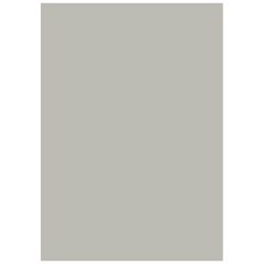 Multifunktionspapier Universalpapier | A4, 80 g/m², grau, 50 Blatt