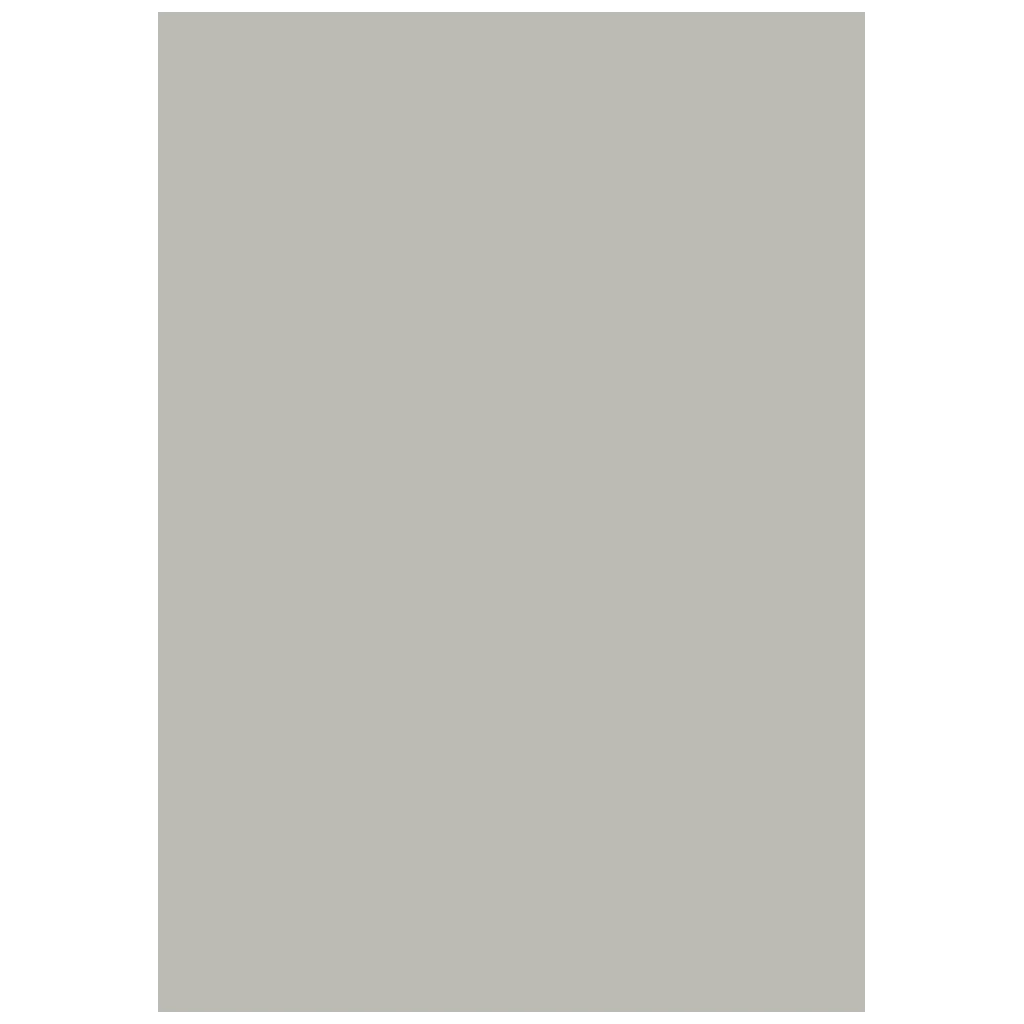 Multifunktionspapier Universalpapier | A4, 80 g/m², grau, 50 Blatt