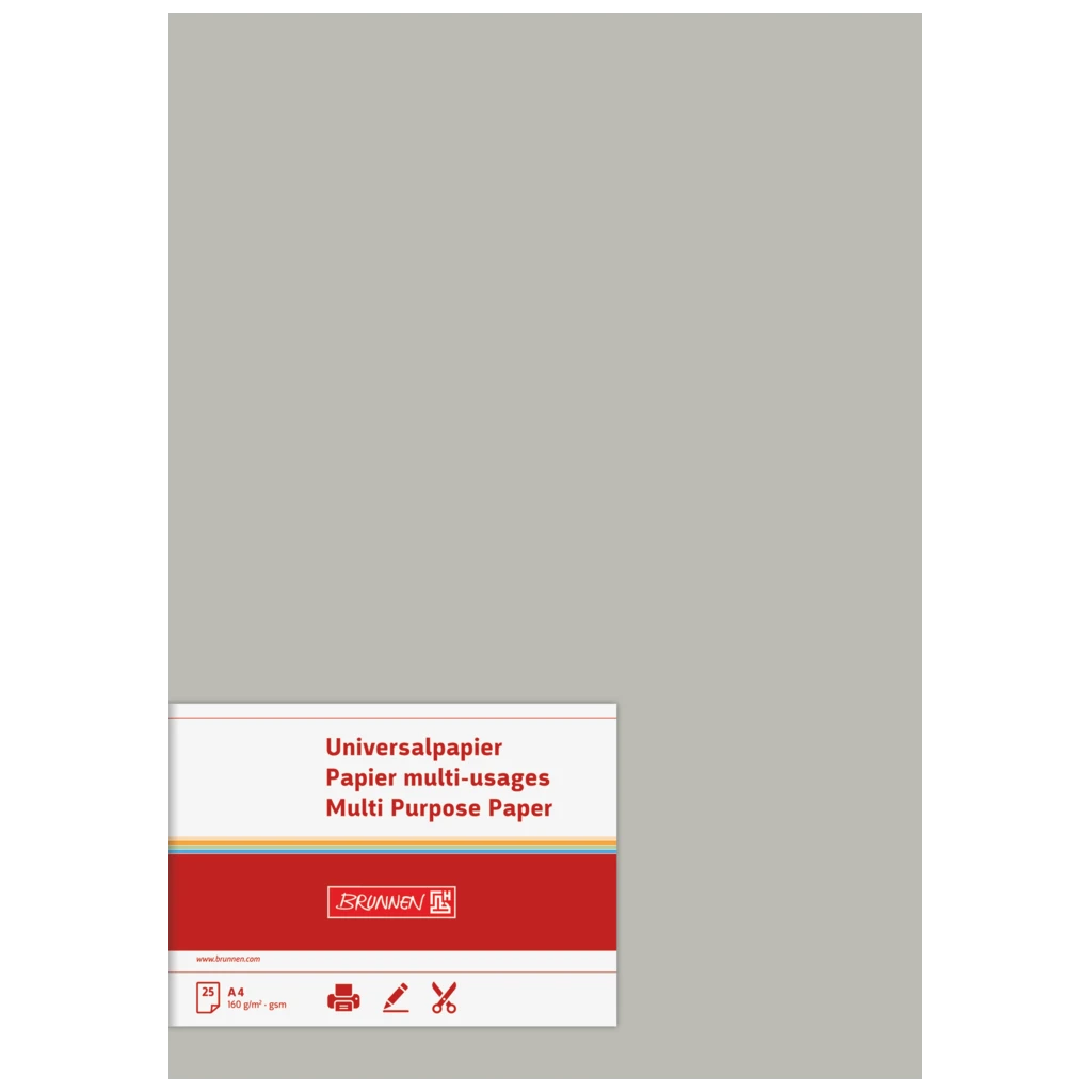 Multifunktionspapier Universalpapier | A4, 80 g/m², grau, 50 Blatt