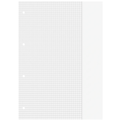 Schulblock Premium | A4, Lineatur 26, 50 Blatt, grau