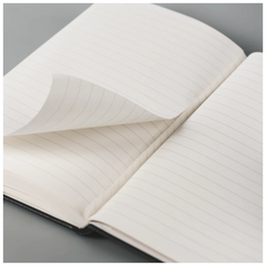 Notizbuch Kompagnon Metallic | A6, punktiert, Gummizugverschluss, silber